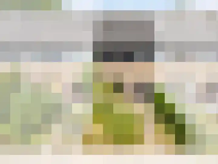 Wollegras 7 Kampen thumbnail 8