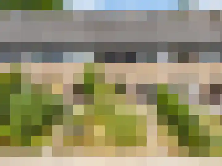 Wollegras 7 Kampen thumbnail 9