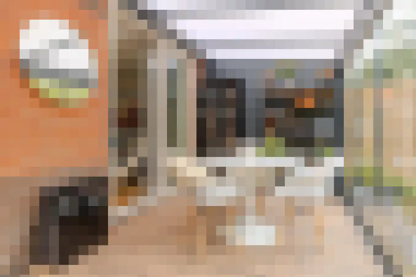 Wollegras 7 Nieuw-Buinen thumbnail 20