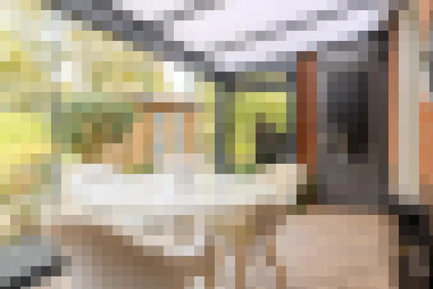 Wollegras 7 Nieuw-Buinen thumbnail 21