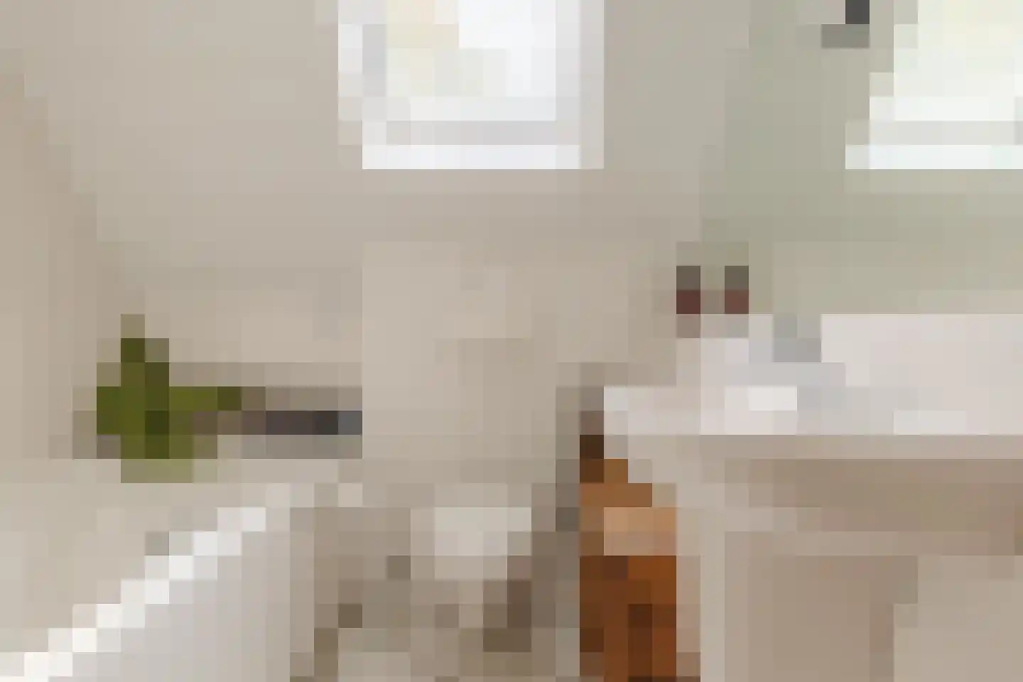 Wollegras 7 Nieuw-Buinen thumbnail 27