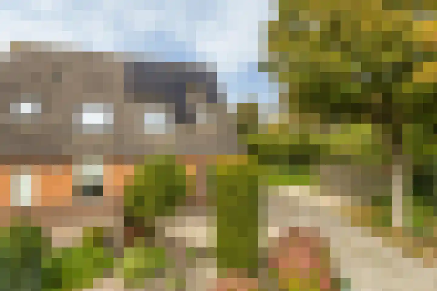Wollegras 7 Nieuw-Buinen foto 3