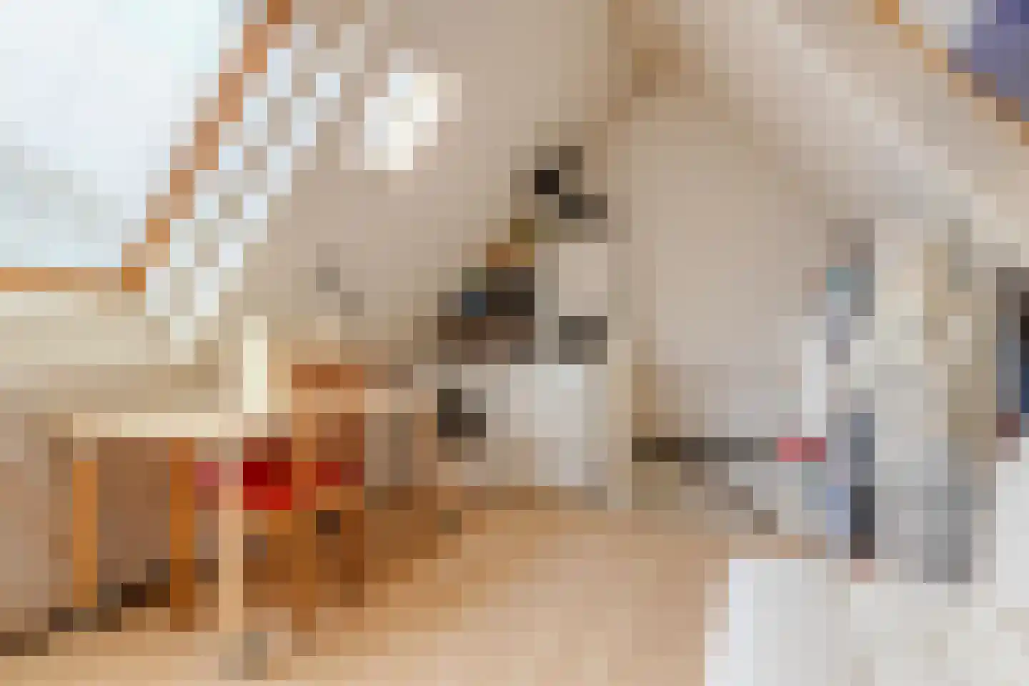 Wollegras 7 Nieuw-Buinen thumbnail 31