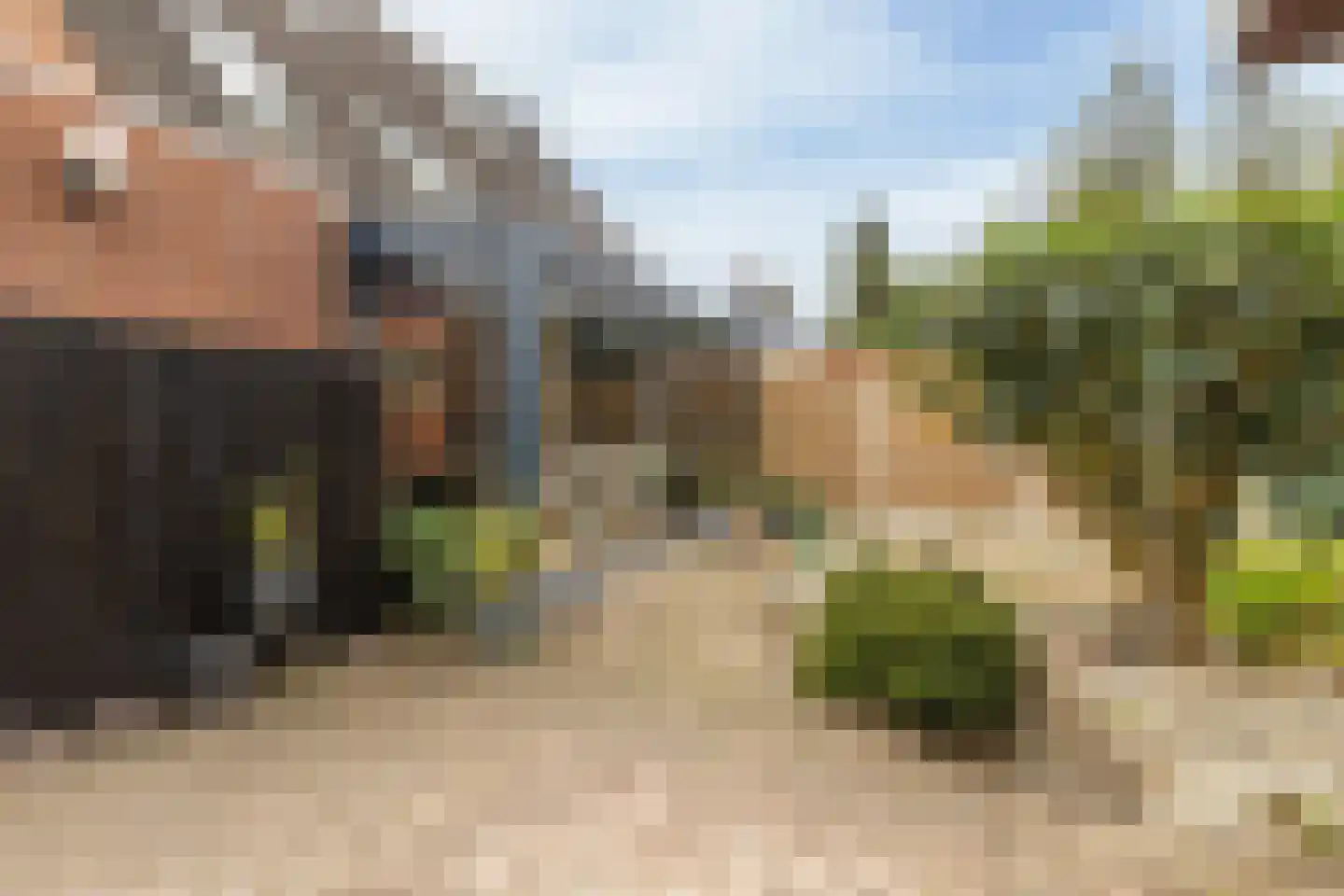 Wollegras 7 Nieuw-Buinen thumbnail 36
