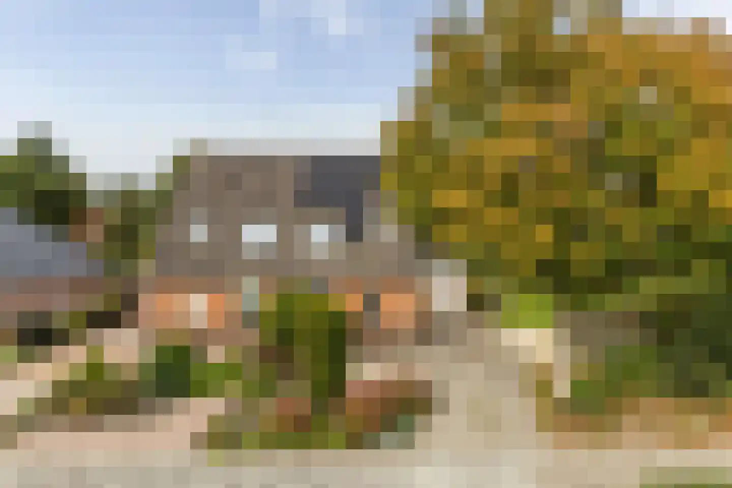 Wollegras 7 Nieuw-Buinen thumbnail 4