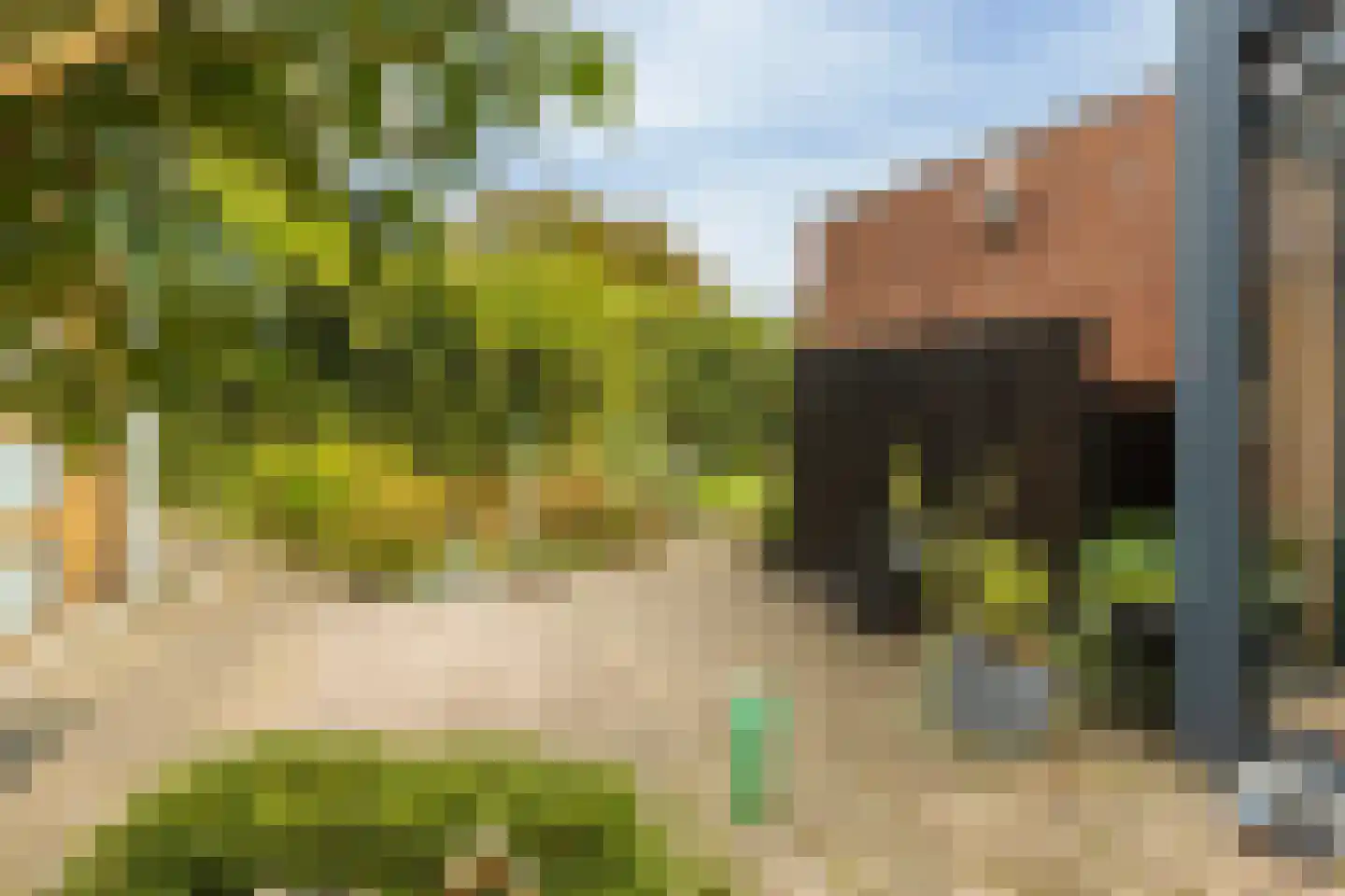 Wollegras 7 Nieuw-Buinen thumbnail 41
