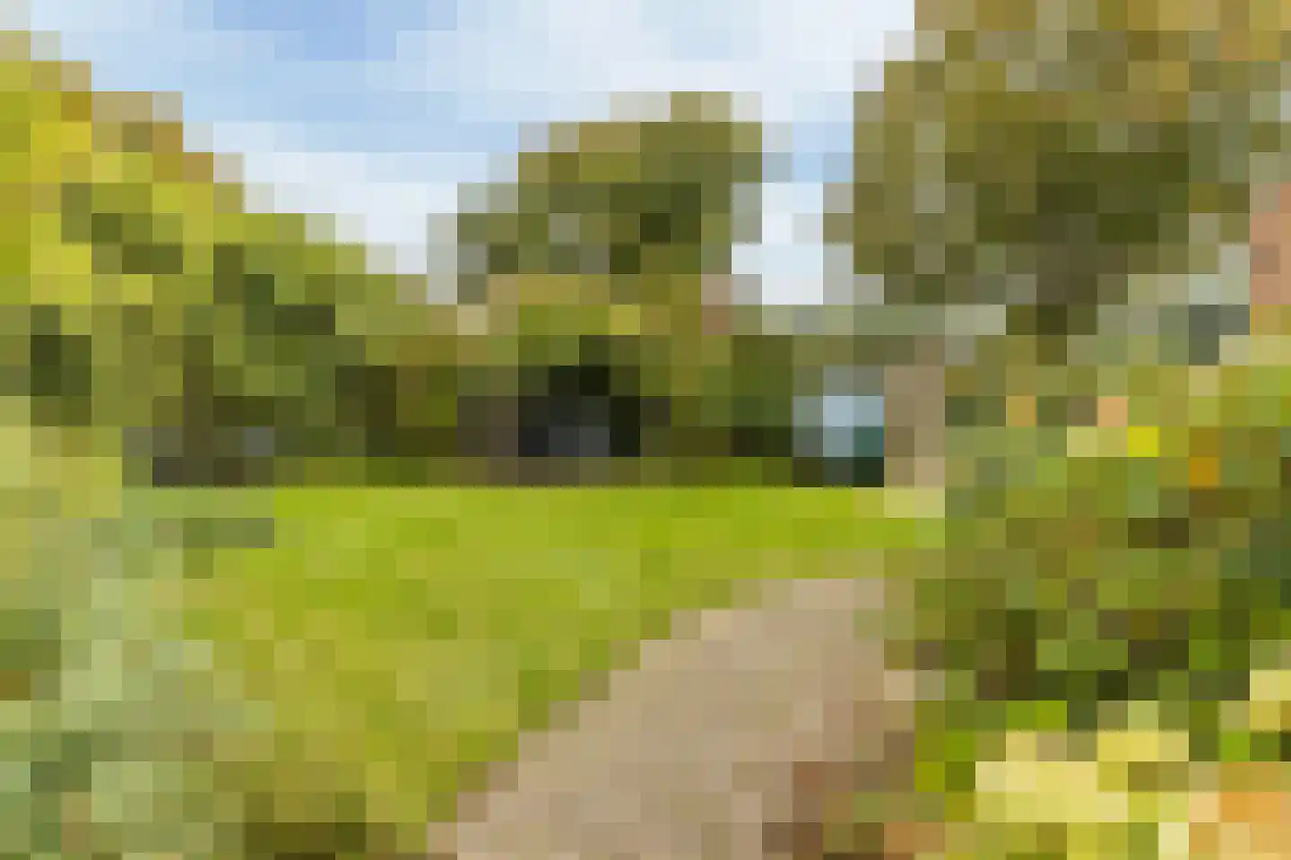 Wollegras 7 Nieuw-Buinen thumbnail 42
