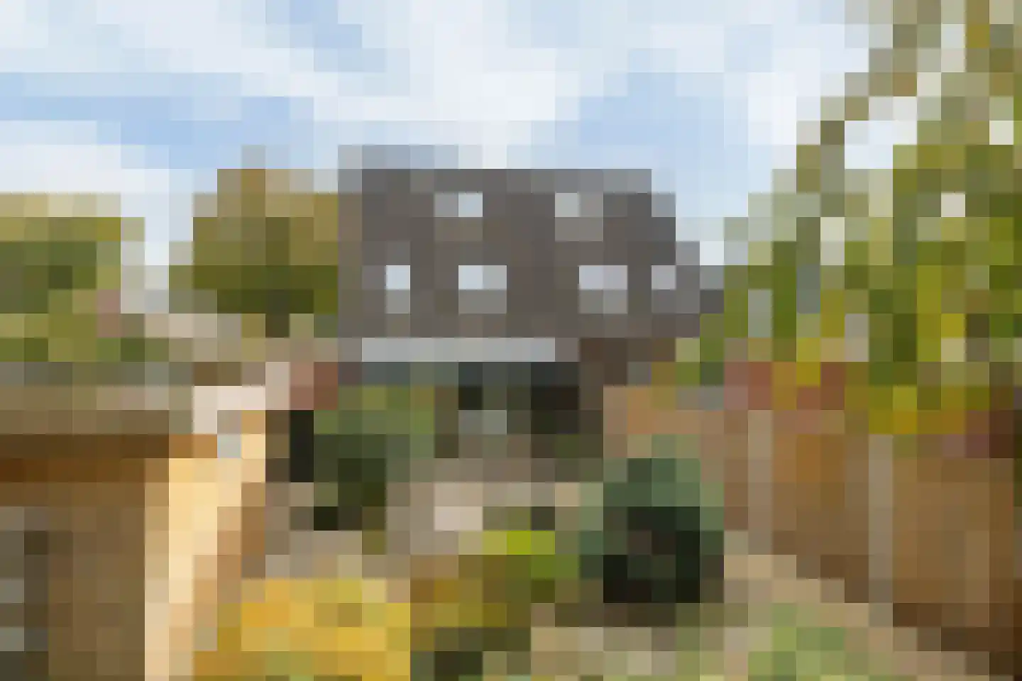 Wollegras 7 Nieuw-Buinen thumbnail 45