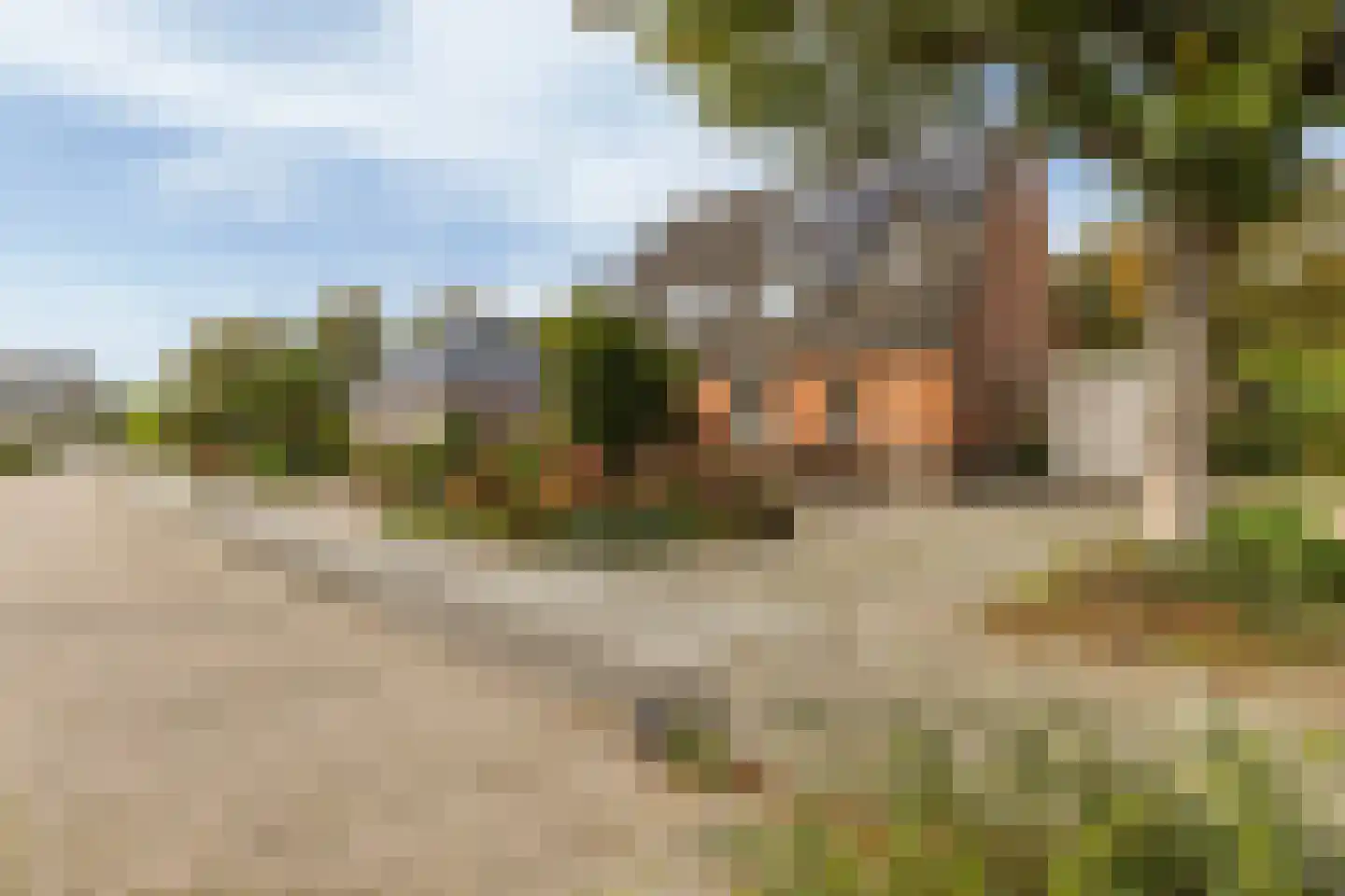 Wollegras 7 Nieuw-Buinen thumbnail 47