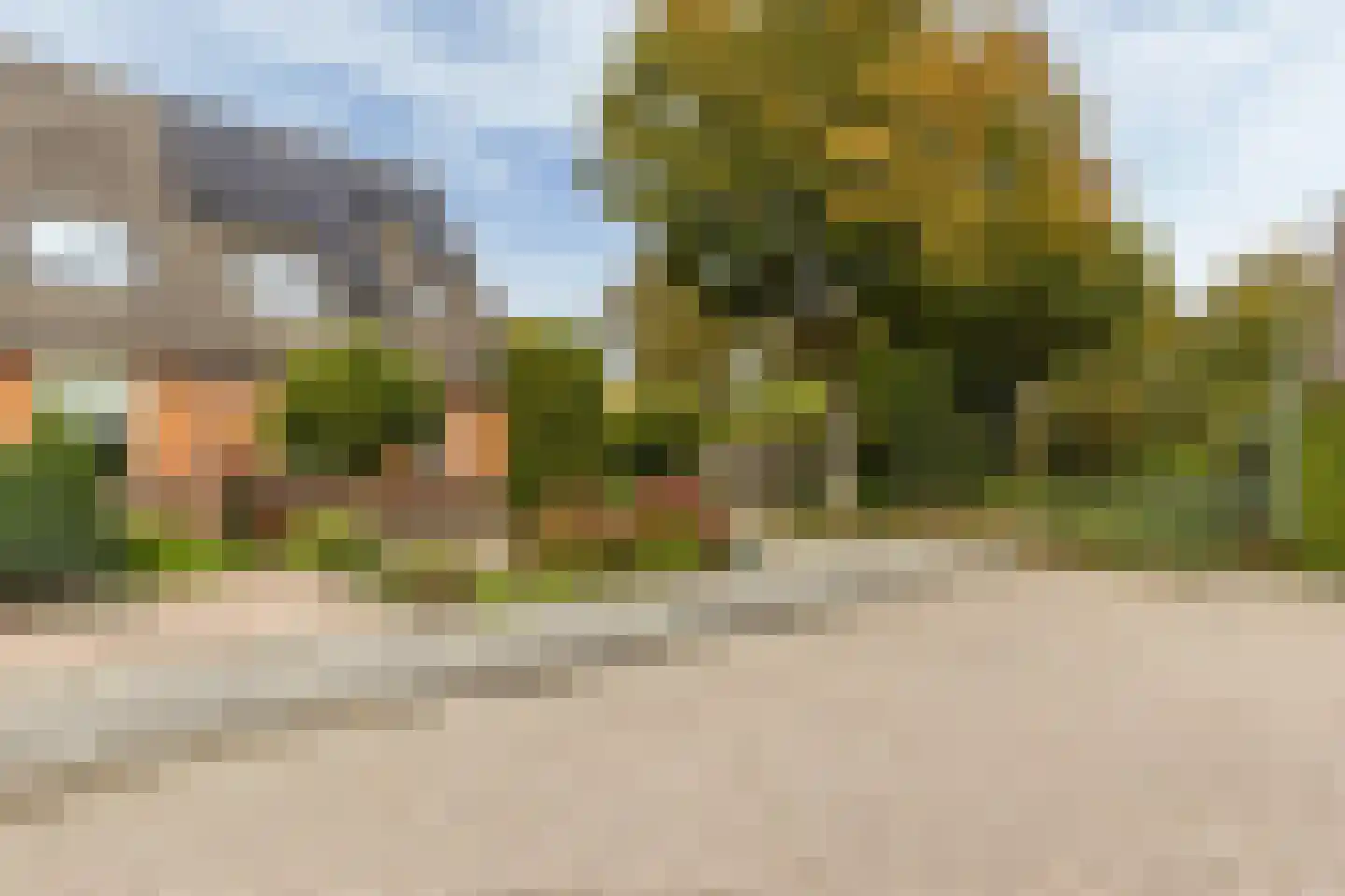 Wollegras 7 Nieuw-Buinen thumbnail 48