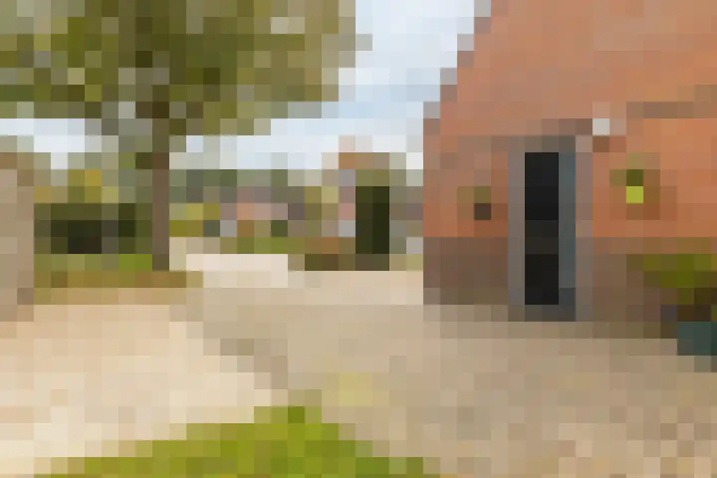 Wollegras 7 Nieuw-Buinen thumbnail 5