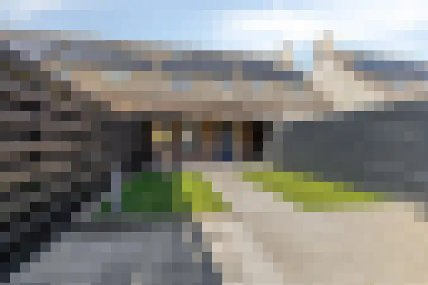 Wollegras 72 Deurne thumbnail 27