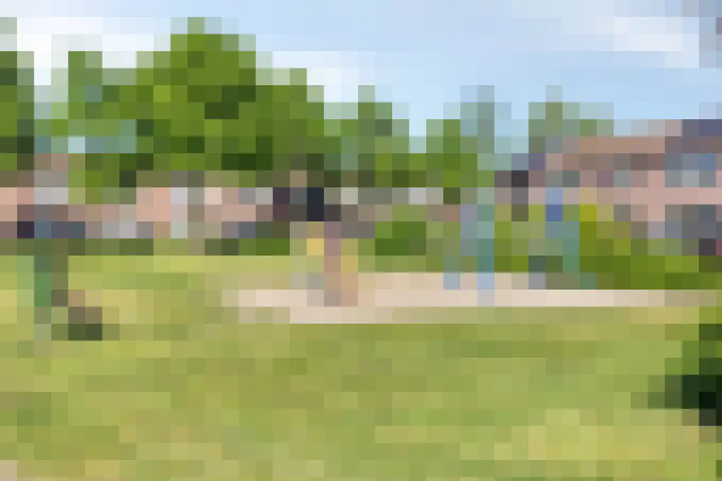 Wollegras 72 Deurne thumbnail 29