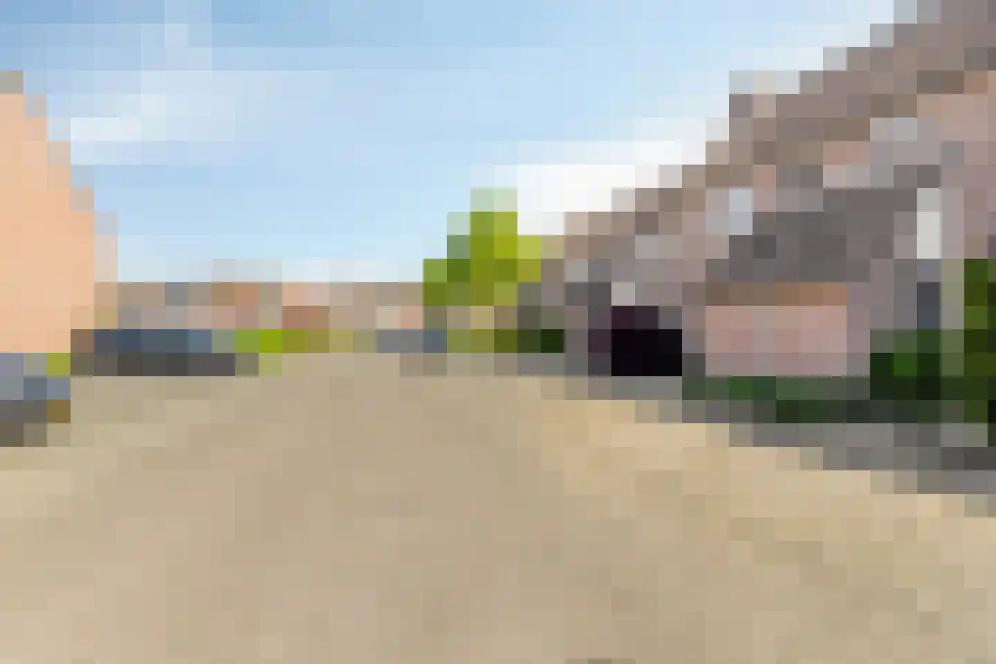 Wollegras 72 Deurne thumbnail 8