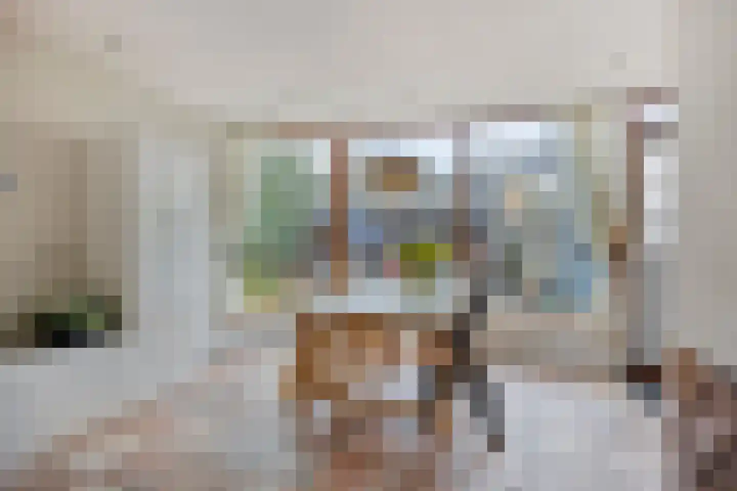 Wollegrasstraat 55 Wormer thumbnail 11