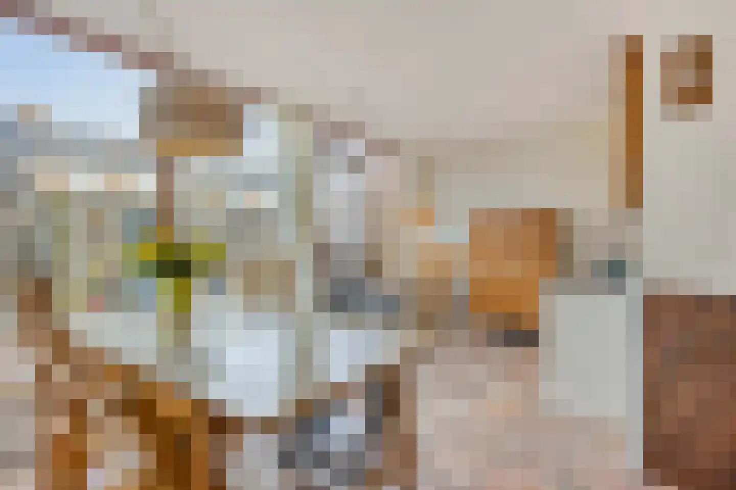 Wollegrasstraat 55 Wormer thumbnail 16