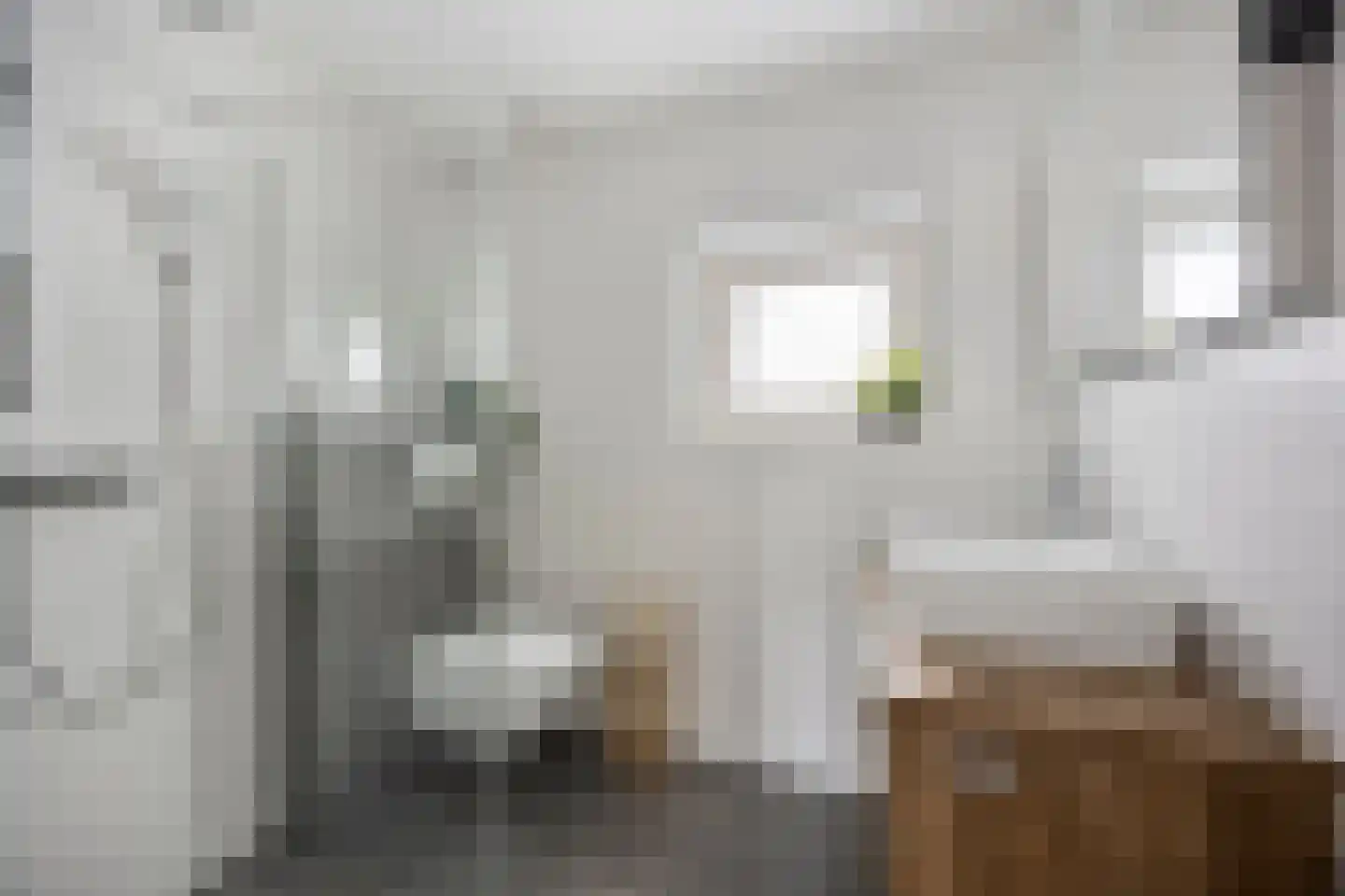 Wollegrasstraat 55 Wormer thumbnail 21