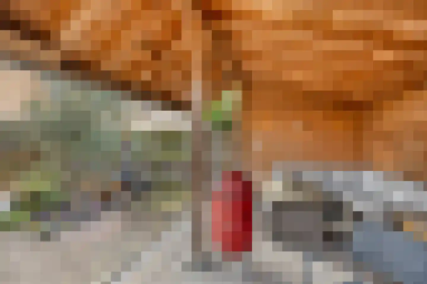 Wollegrasstraat 55 Wormer thumbnail 32