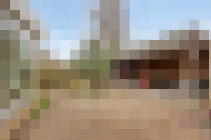 Wollegrasstraat 55 Wormer thumbnail 4