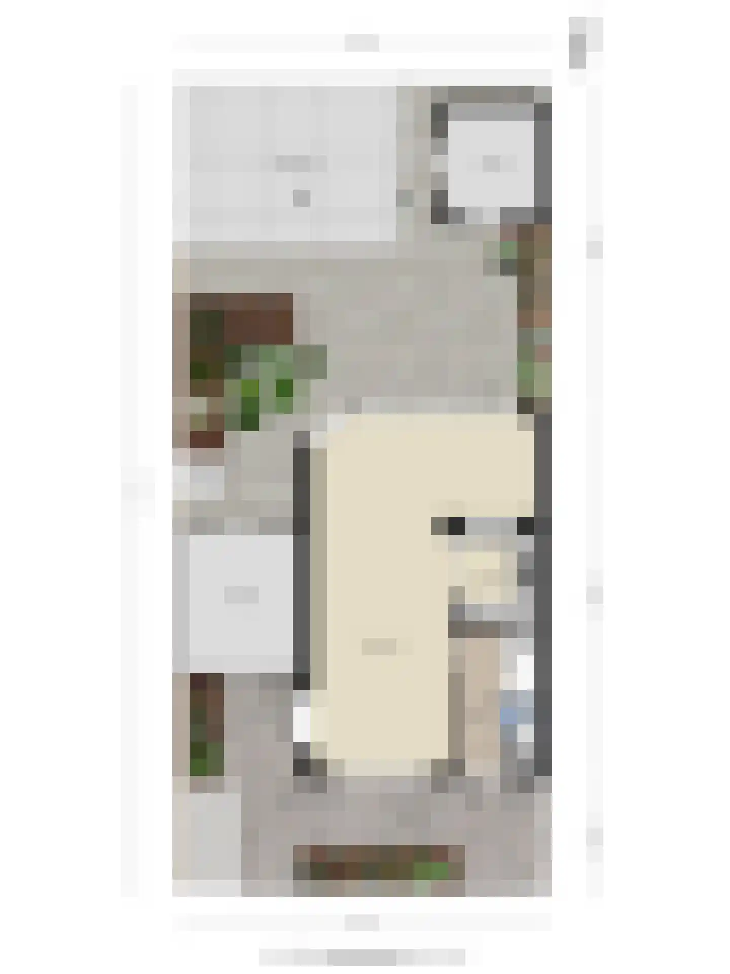 Wollegrasstraat 55 Wormer thumbnail 46