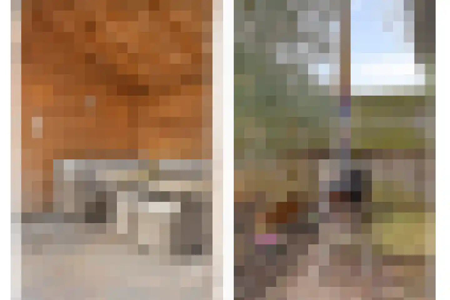 Wollegrasstraat 55 Wormer thumbnail 6