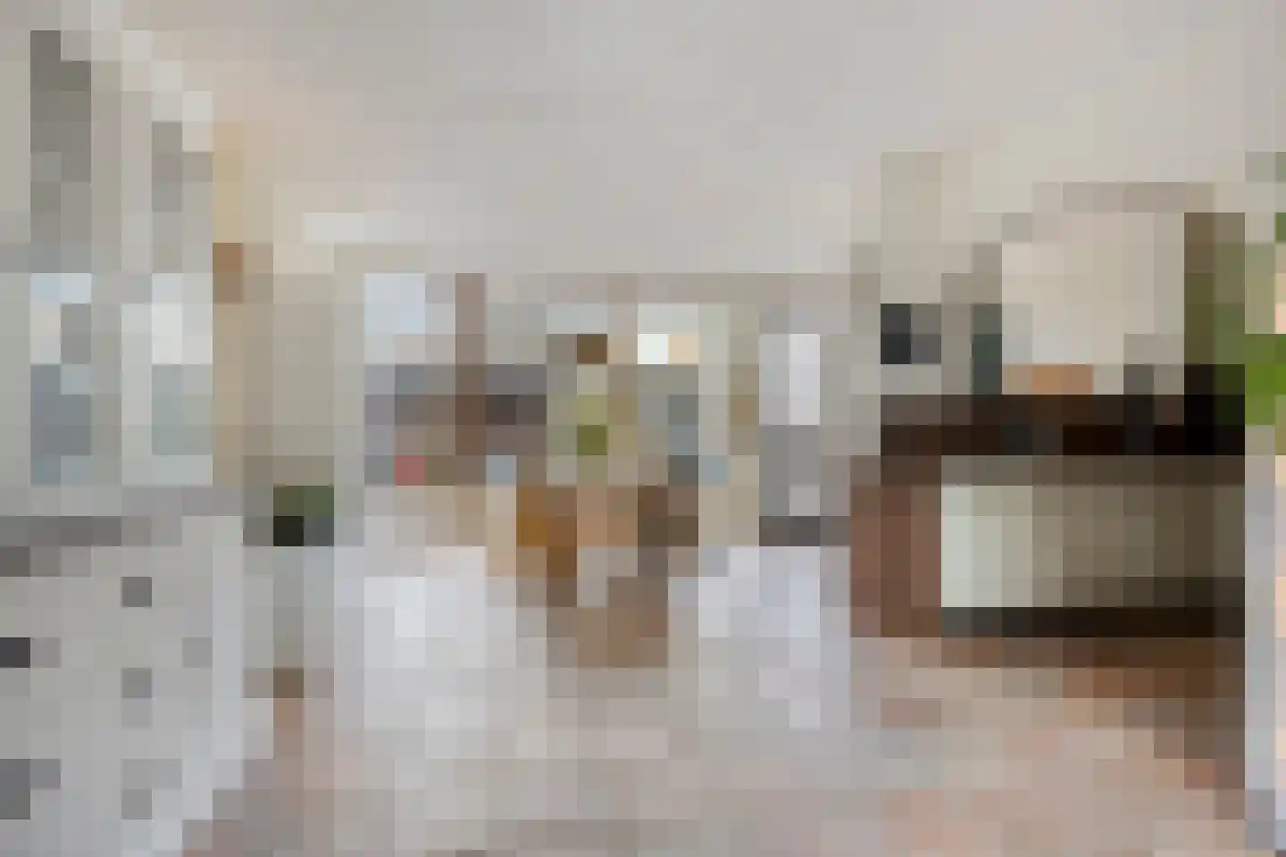 Wollegrasstraat 55 Wormer thumbnail 7