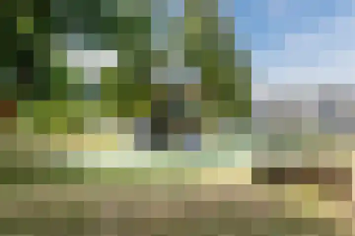Wollegrasweg 19 Almere thumbnail 39