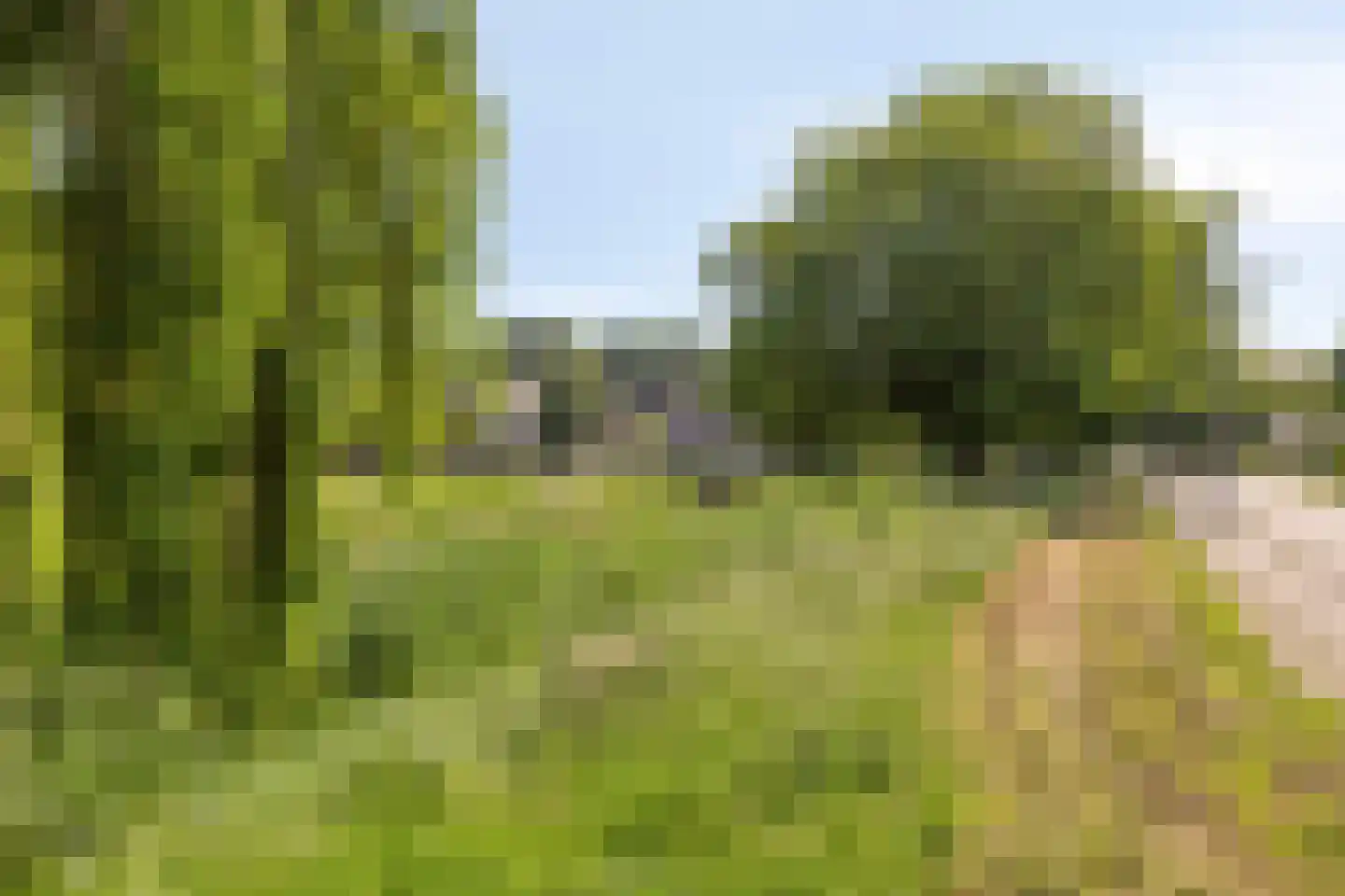 Wollegrasweg 45 Almere thumbnail 18