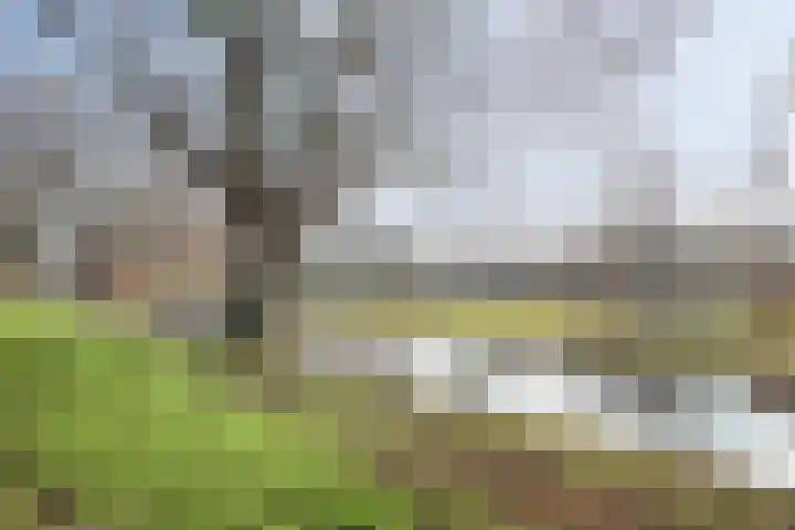 Wollegrasweg 45 Almere thumbnail 21