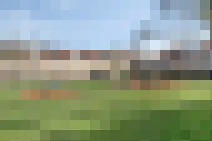 Wollegrasweg 45 Almere thumbnail 22