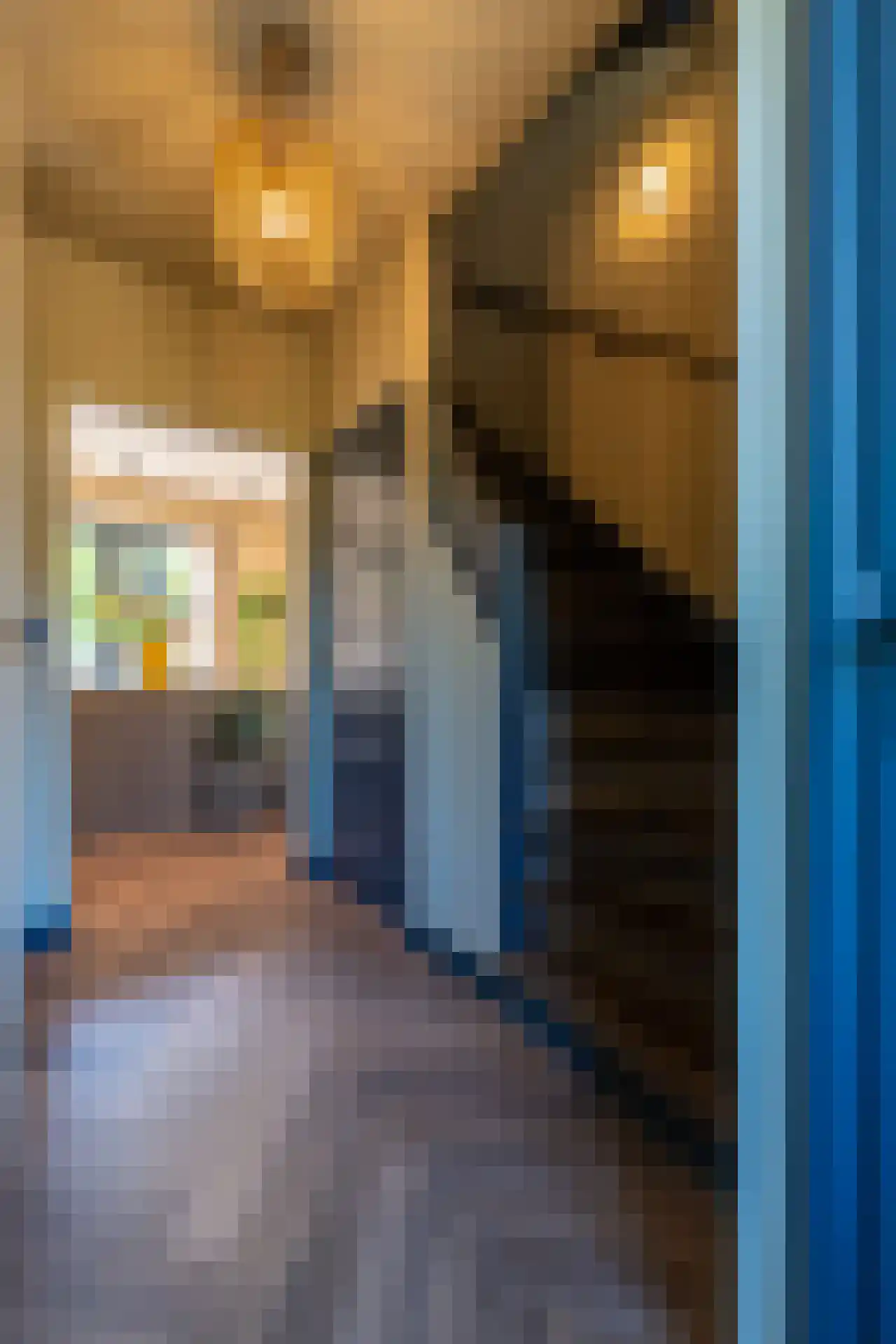 Wollenbergstraat 13 Waalre thumbnail 13