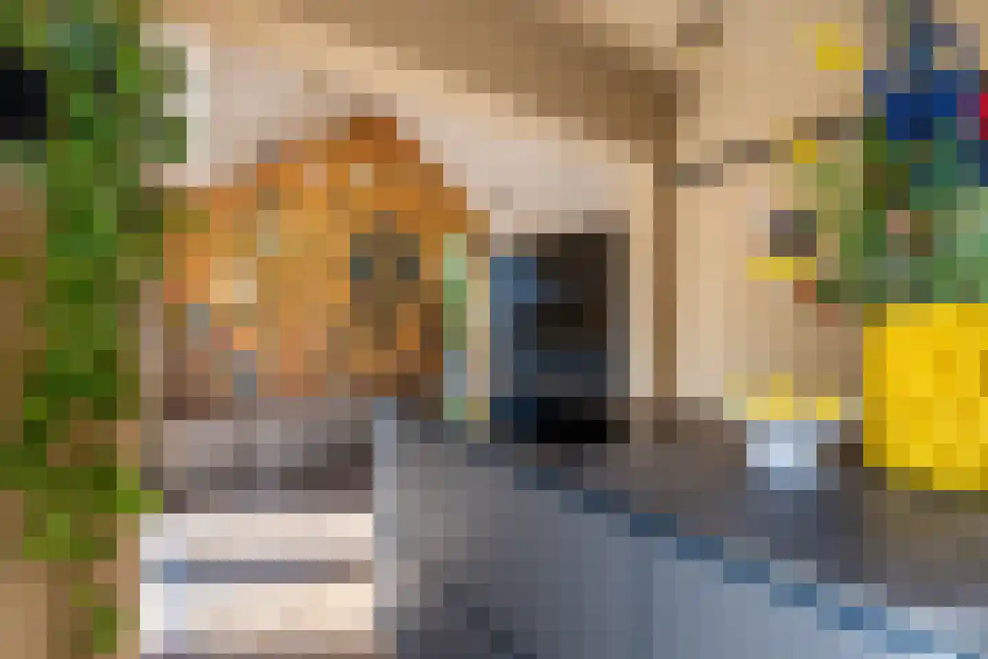 Wollenbergstraat 13 Waalre thumbnail 18