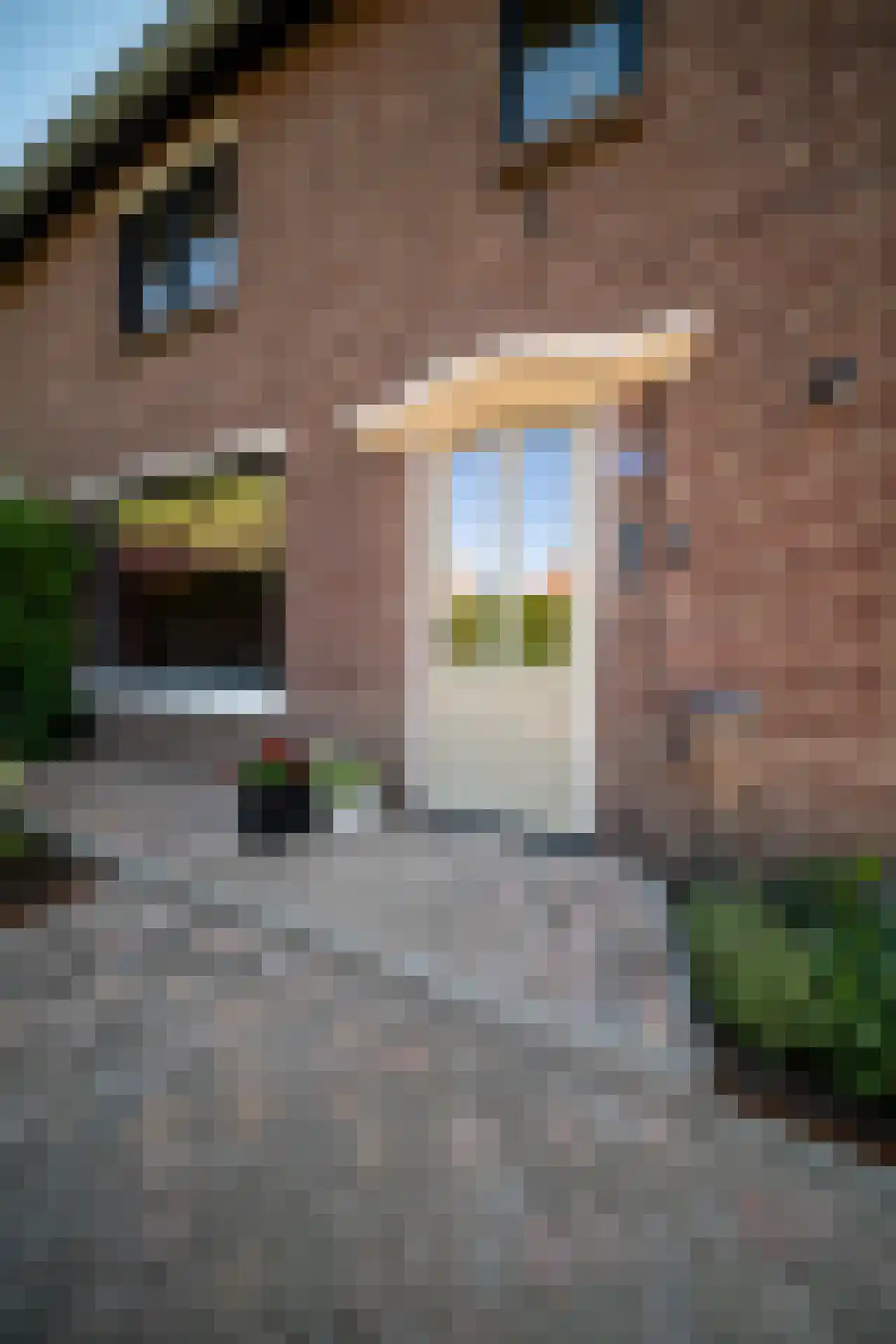 Wollenbergstraat 13 Waalre thumbnail 8
