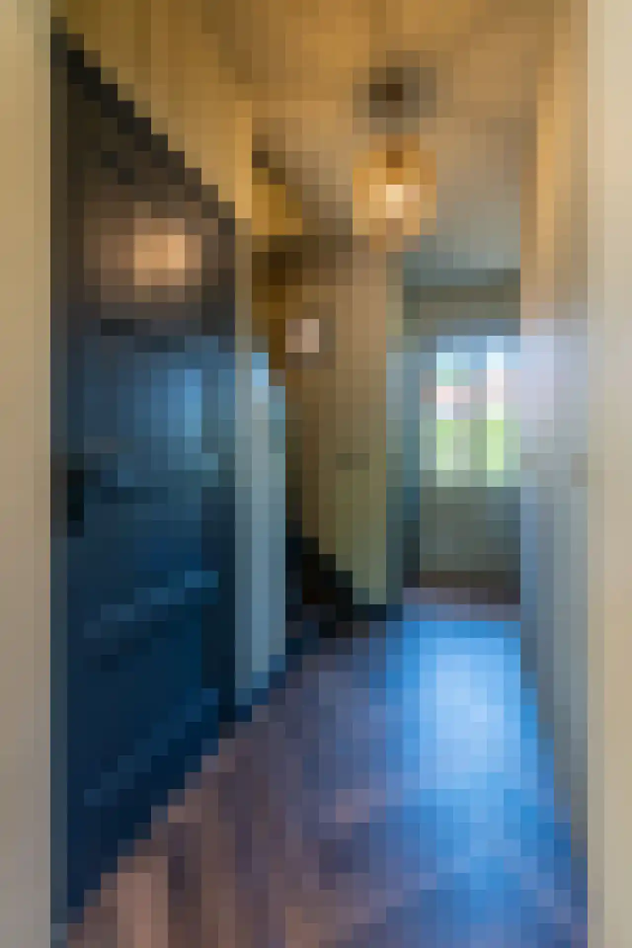 Wollenbergstraat 13 Waalre thumbnail 9