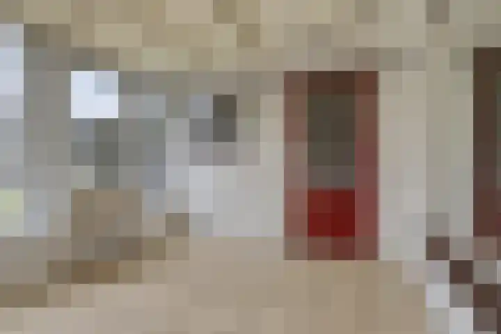 Wollenbergstraat 29 Waalre thumbnail 11