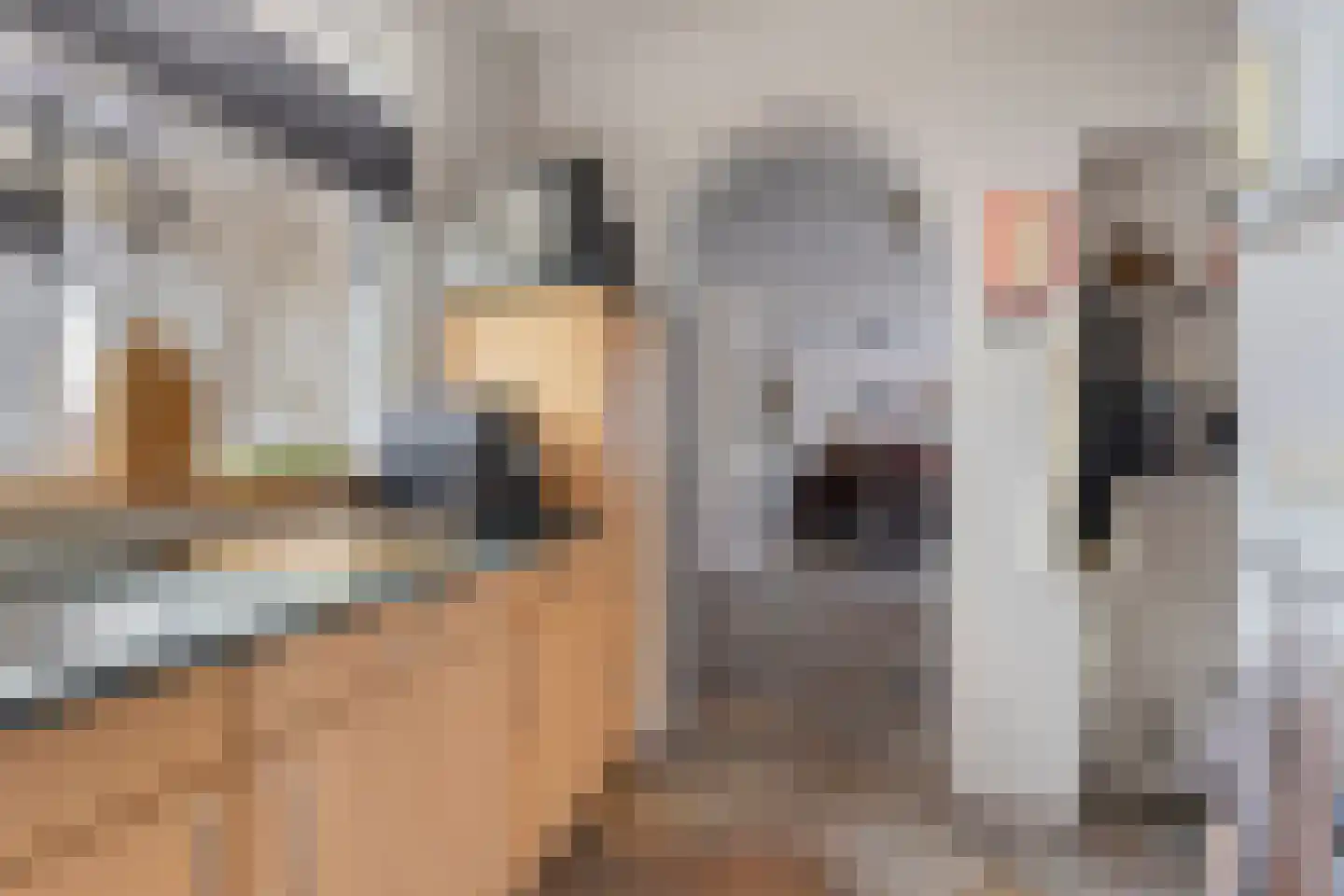Wollenbergstraat 30 Waalre thumbnail 11