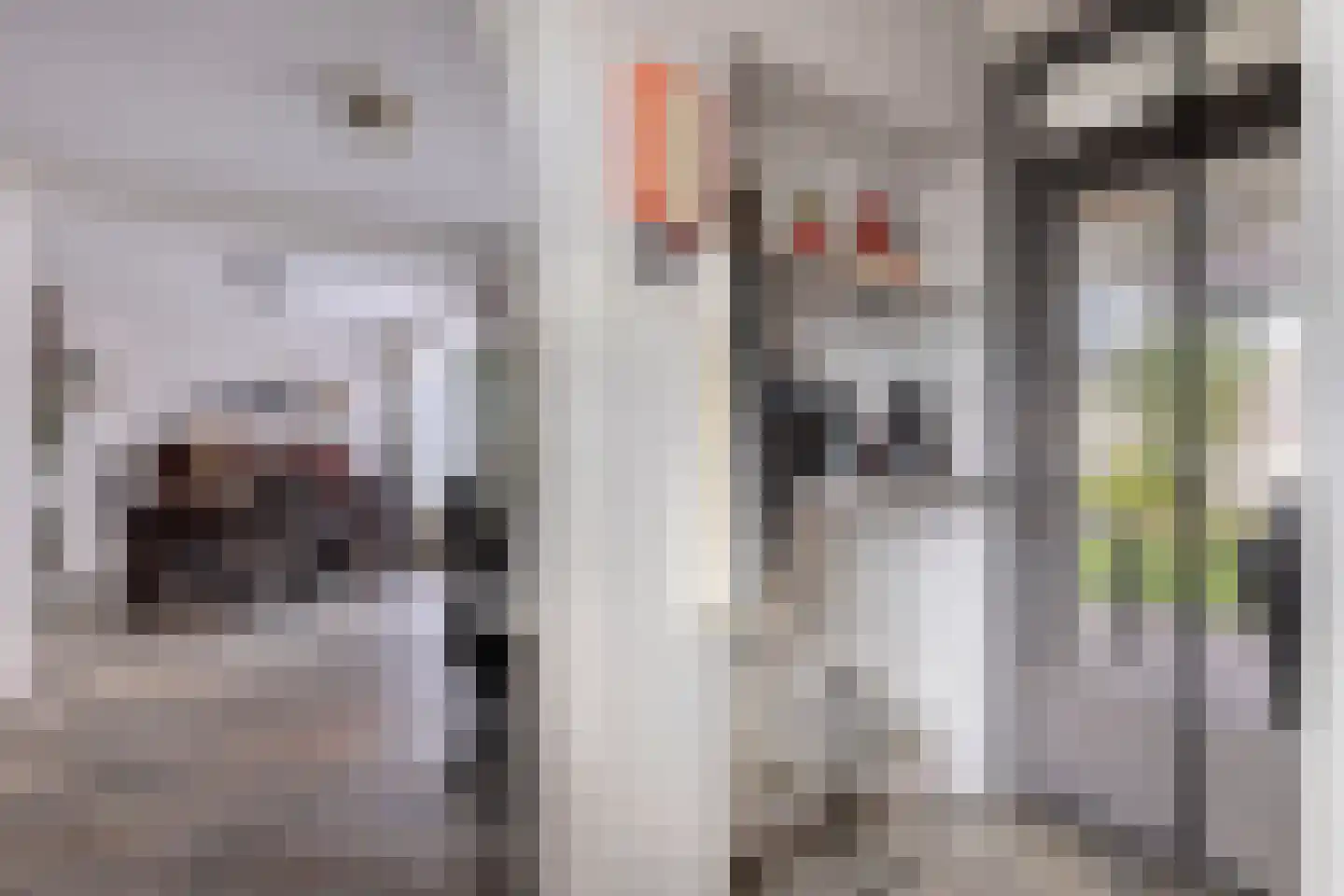 Wollenbergstraat 30 Waalre thumbnail 12