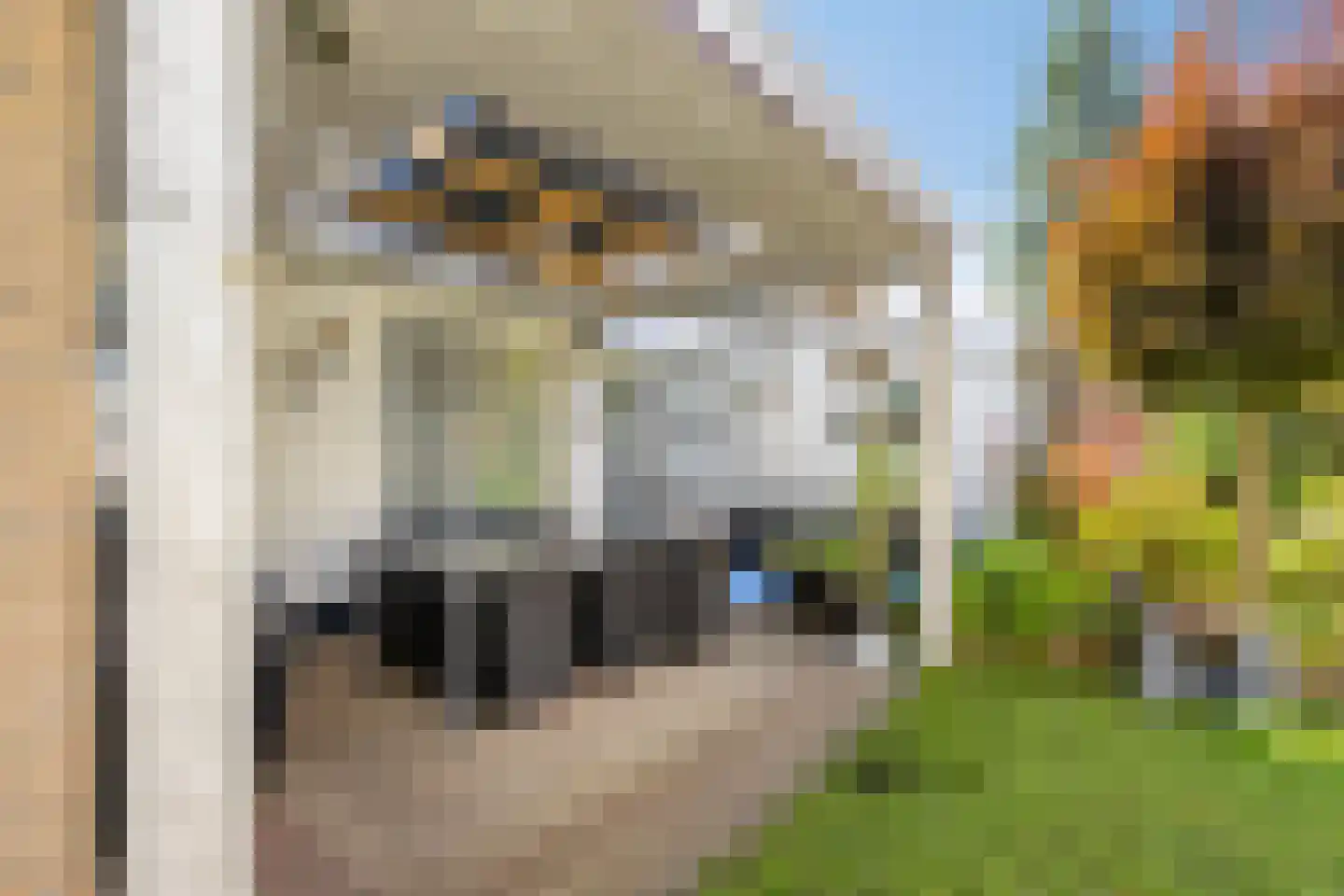 Wollenbergstraat 30 Waalre thumbnail 33