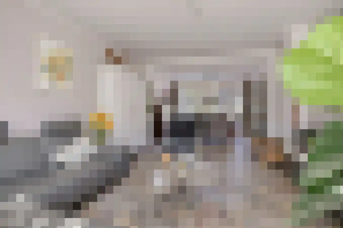Wollenbergstraat 30 Waalre thumbnail 6