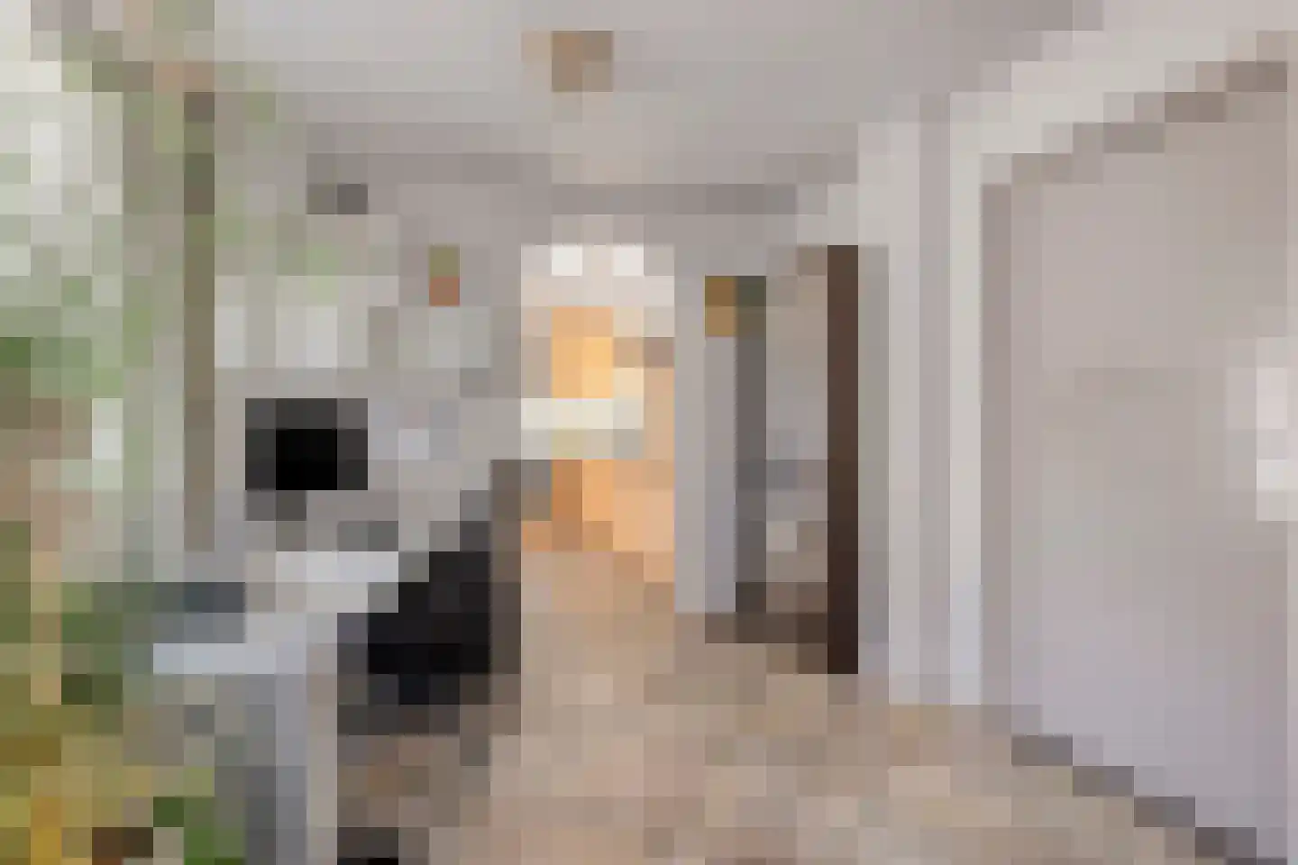 Wollenbergstraat 30 Waalre thumbnail 9