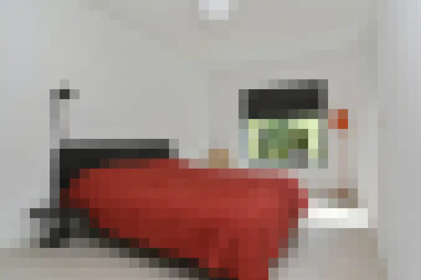 Wollenbergstraat 5 a Waalre thumbnail 22