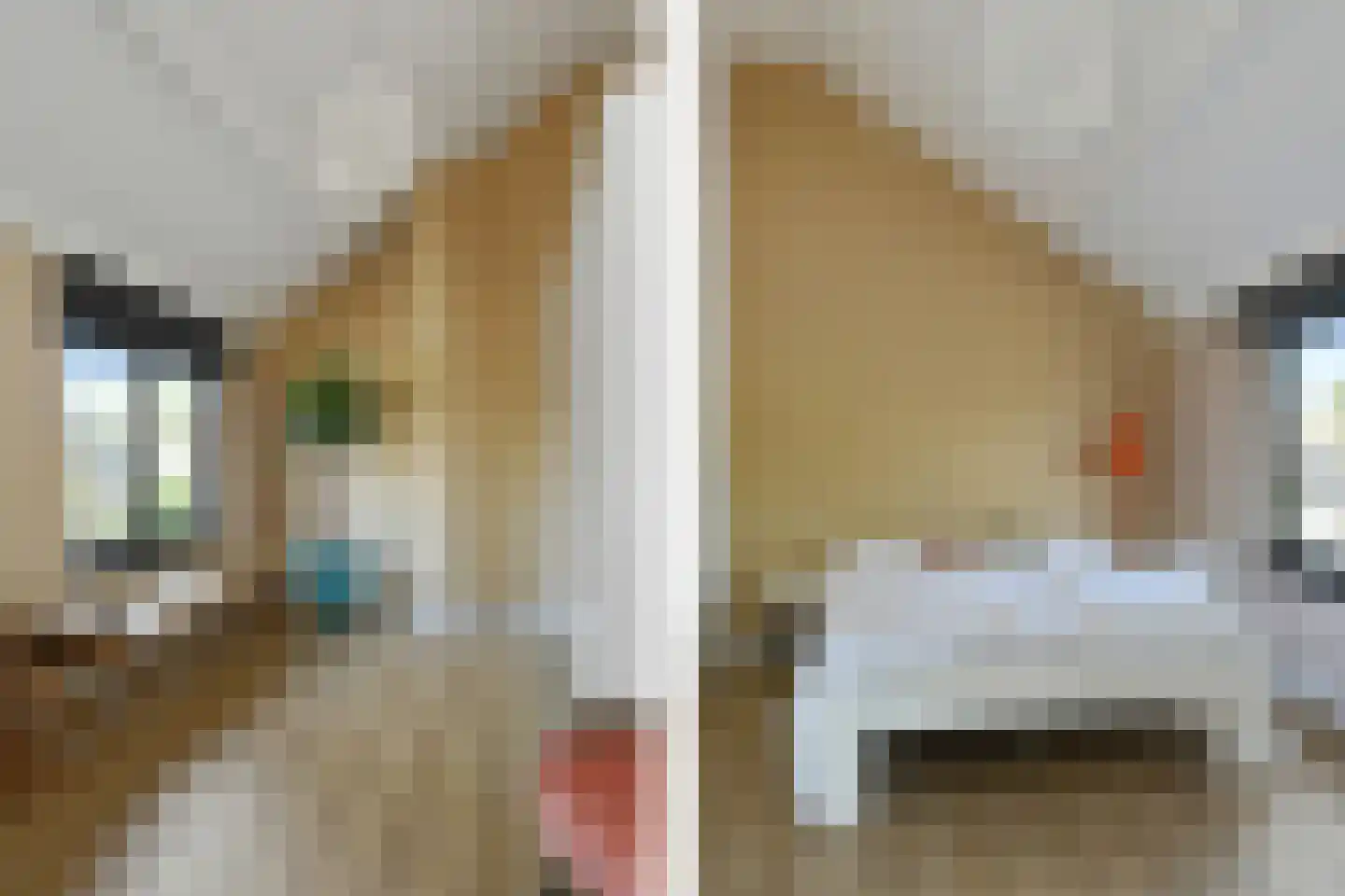 Wollenbergstraat 5 a Waalre thumbnail 32