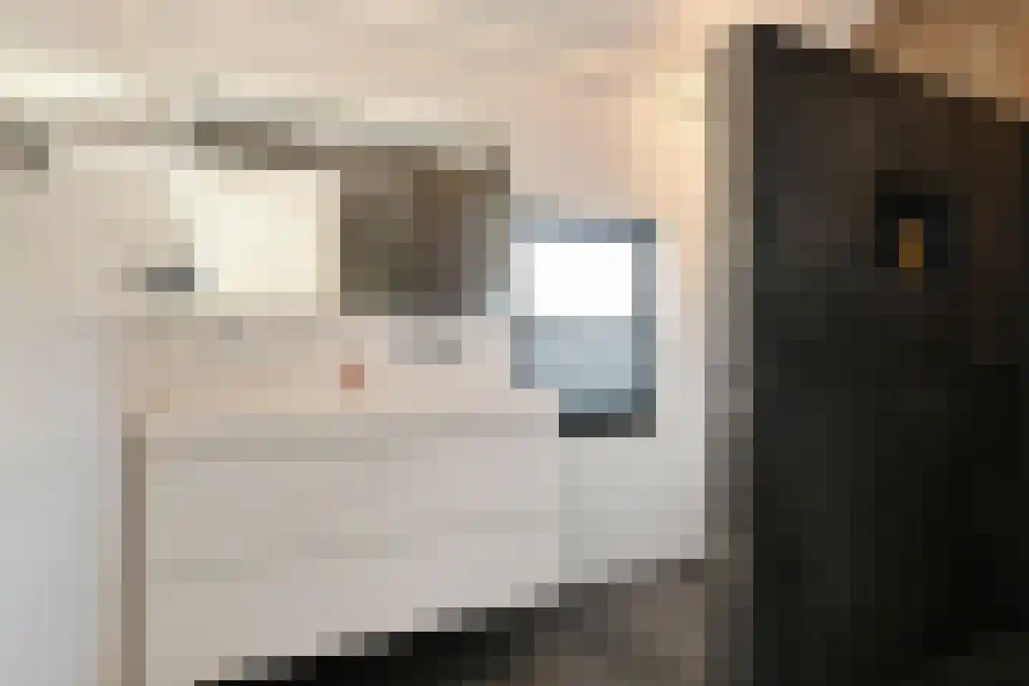 Wollenbergstraat 5 a Waalre thumbnail 33