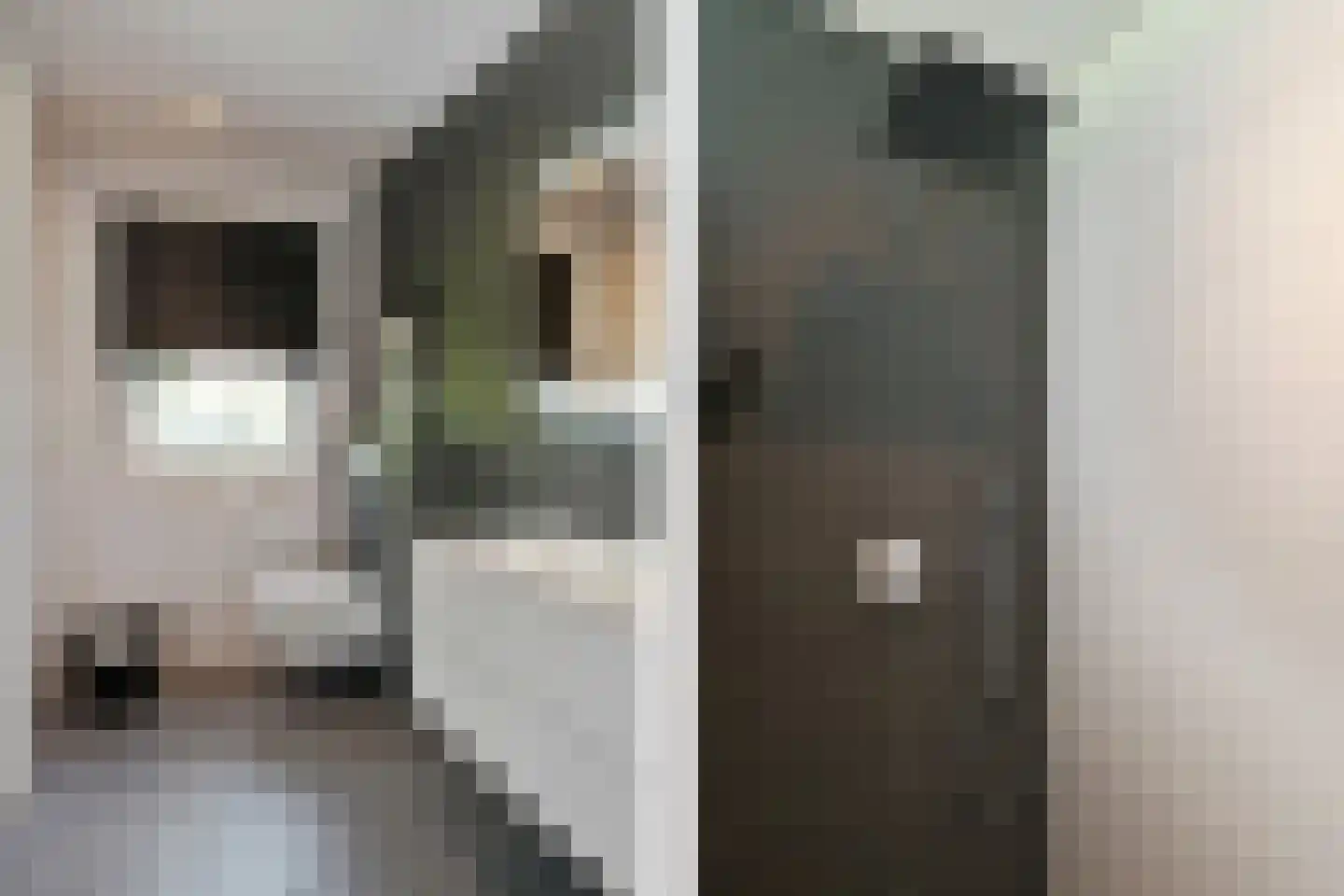 Wollenbergstraat 5 a Waalre thumbnail 43
