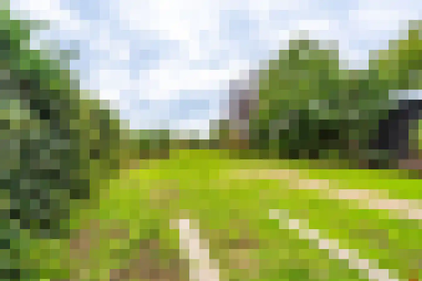 Wollinghuizerweg 18 Sellingen thumbnail 11
