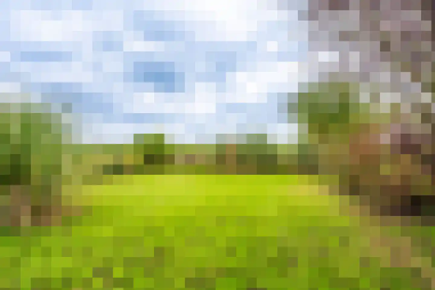 Wollinghuizerweg 18 Sellingen thumbnail 12
