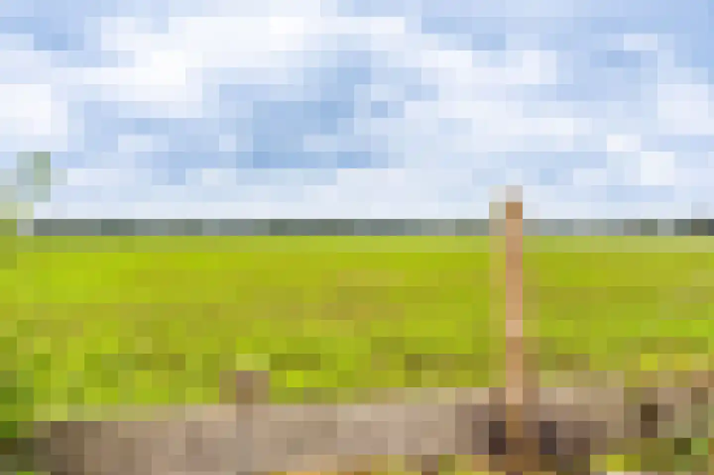 Wollinghuizerweg 18 Sellingen thumbnail 13