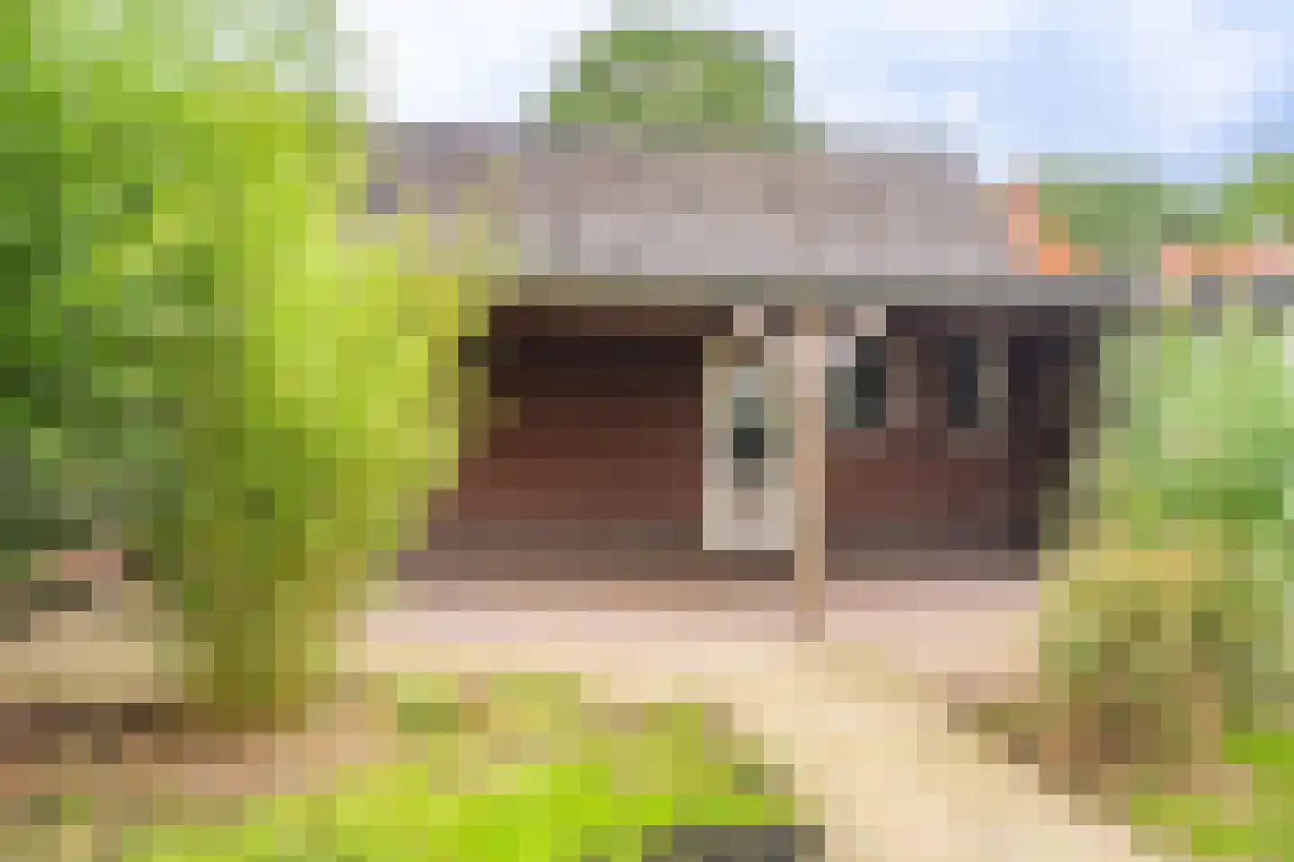 Wollinghuizerweg 18 Sellingen thumbnail 15