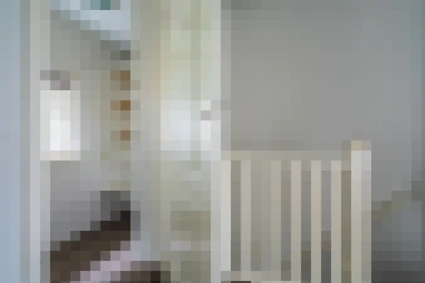 Wollinghuizerweg 18 Sellingen thumbnail 34