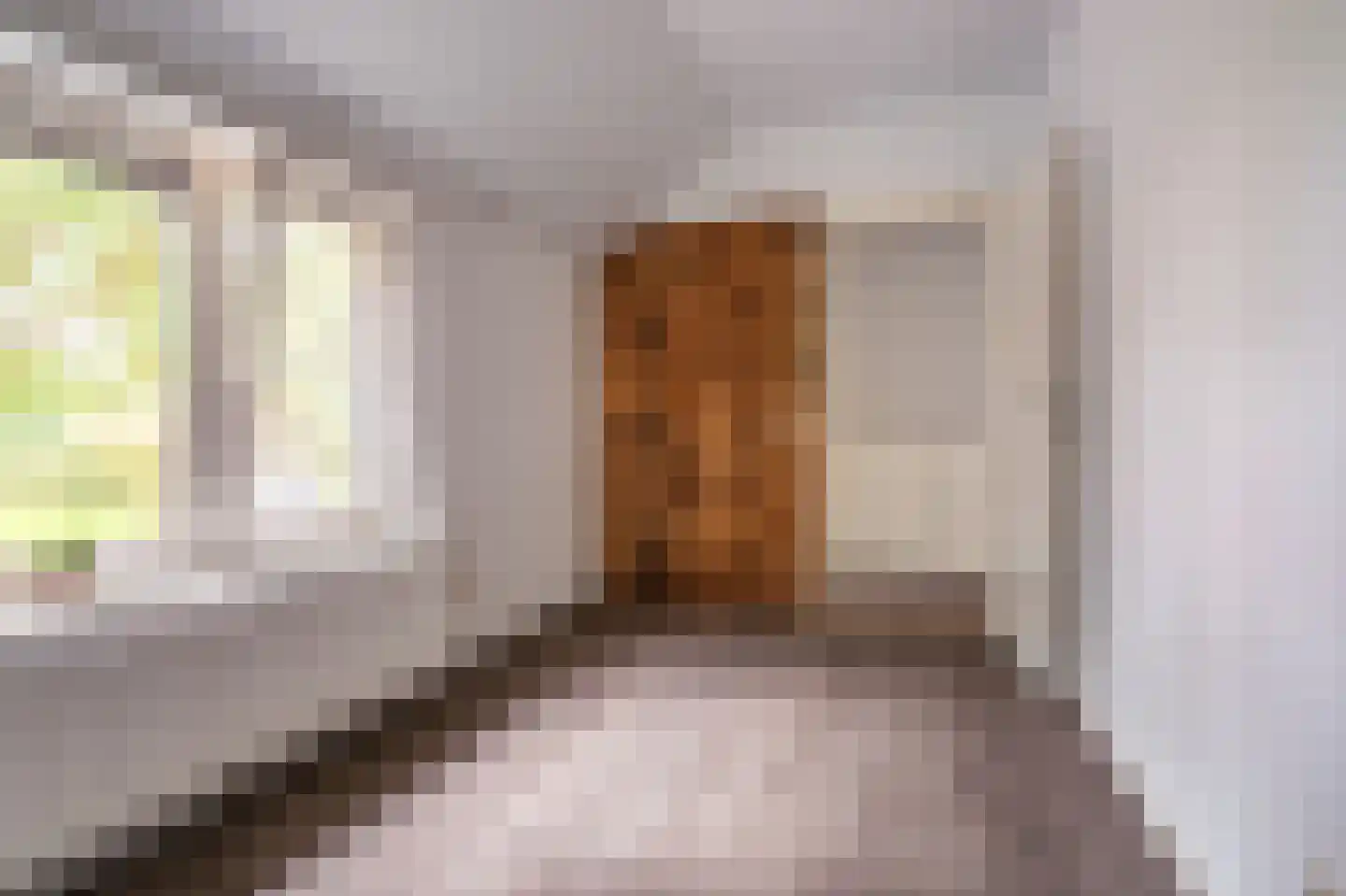 Wollinghuizerweg 18 Sellingen thumbnail 36
